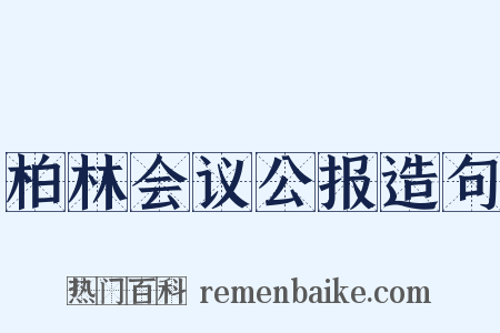 柏林会议公报造句是什么意思的图片